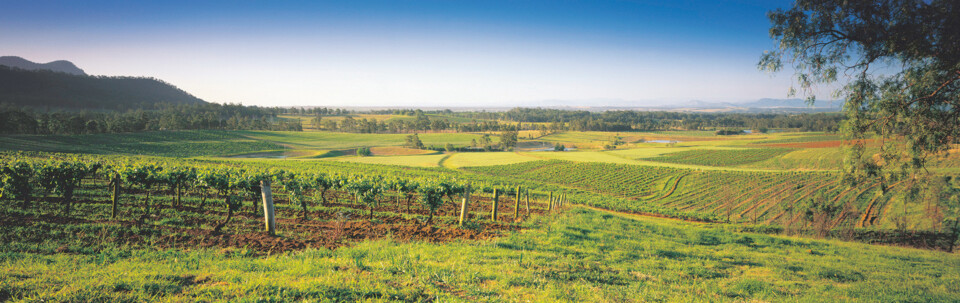 Hunter Valley Panorama