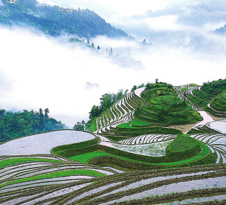 Longsheng Reisterrassen Longsheng Reisterrassen