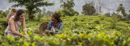 Sri Lanka Kulturreise