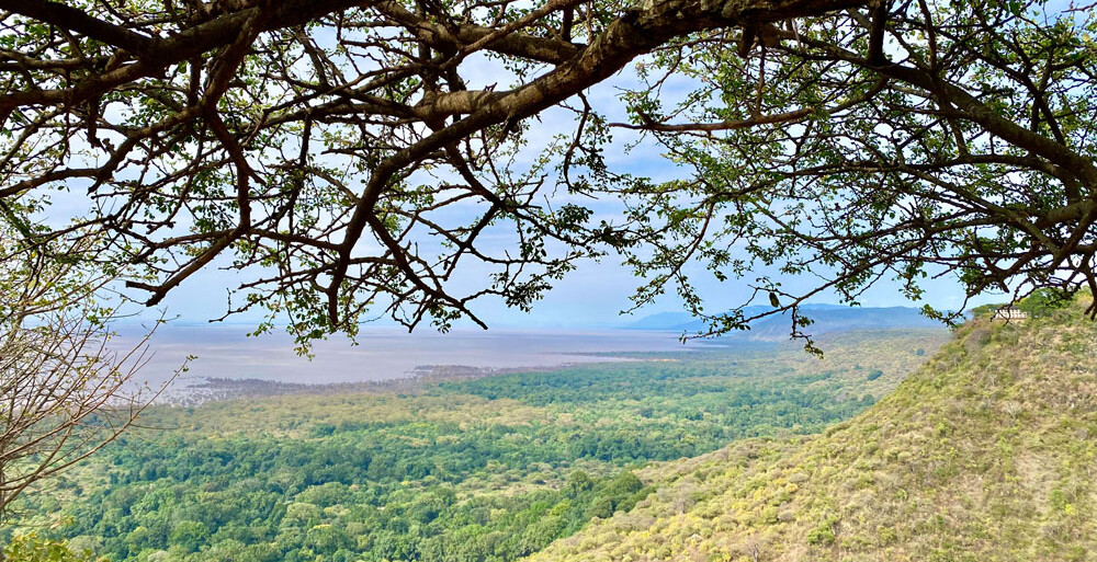 Lake Manyara Nationalpark