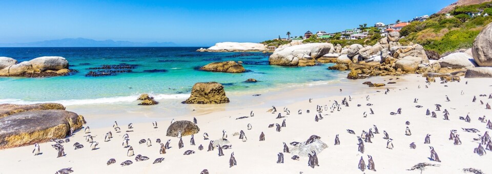 Kapstadt Boulders Beach