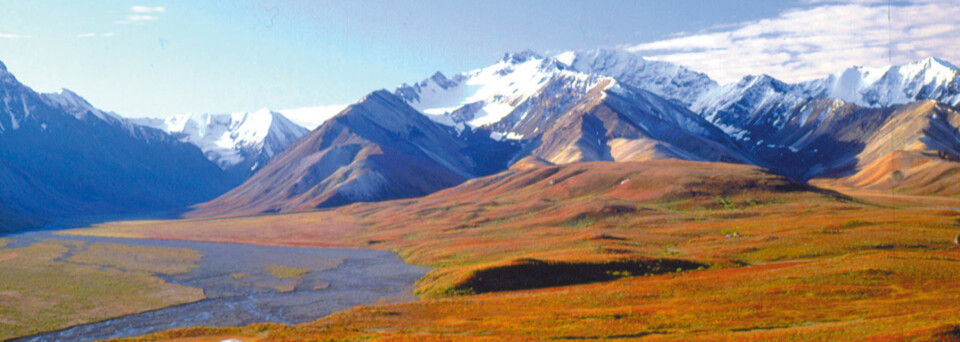 Denali Nationalpark im Herbst