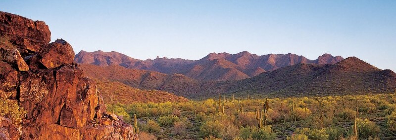 Scottsdale McDowell Mountains