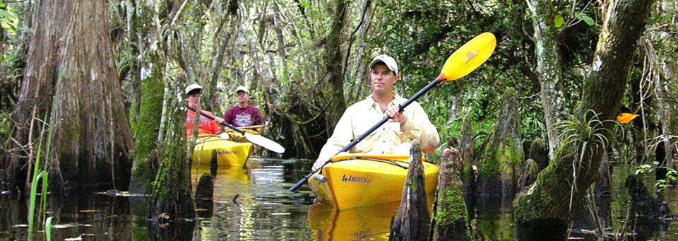 Kanufahrt in den Everglades Ivey House B&B Everglades City Florida