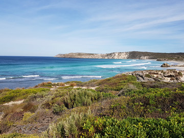 Australien Reisebericht - Strand auf Kangaroo Island