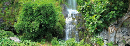 Naturwunder La Réunion