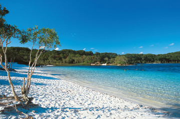 Reisebericht Australien: Fraser Island - Lake McKenzie