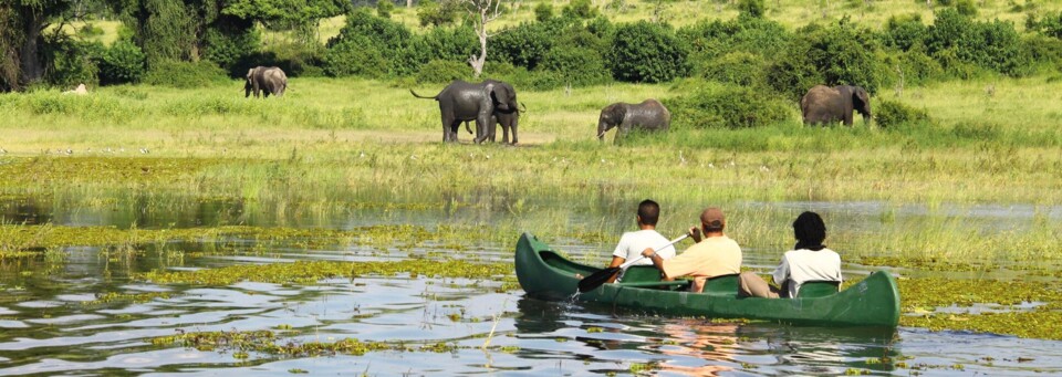 Safari des Chobe River Camp