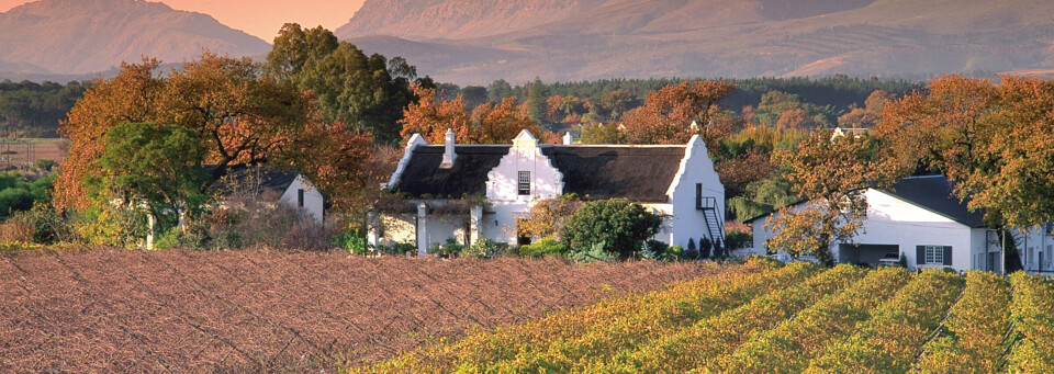 Weinregion in Südafrika