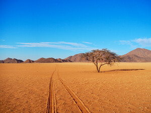 Namib Wüste