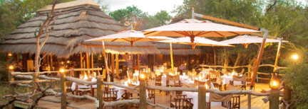 Kapama Private Game Reserve