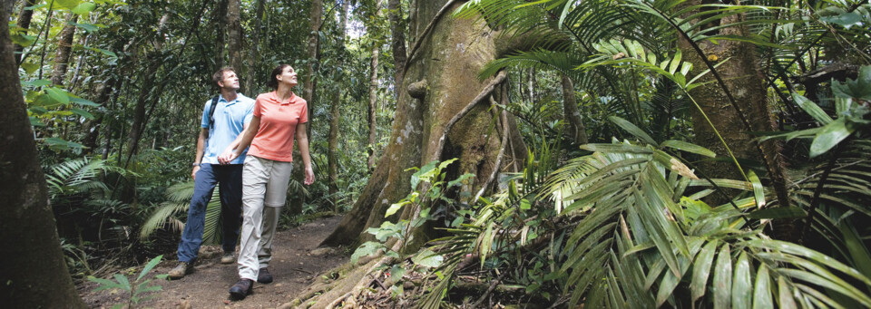 Wanderung durch die Atherton Tablelands