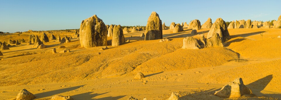 Pinnacles im Nambung Nationalpark