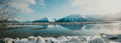 "Alaska Rail Road" Zugfahrt