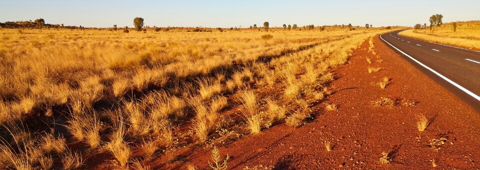 Lasseter Highway, Northern Territory, Australien