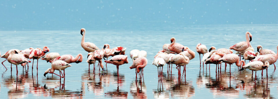 Lake Nakuru