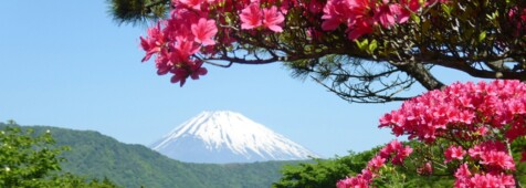 Fuji Vulkan