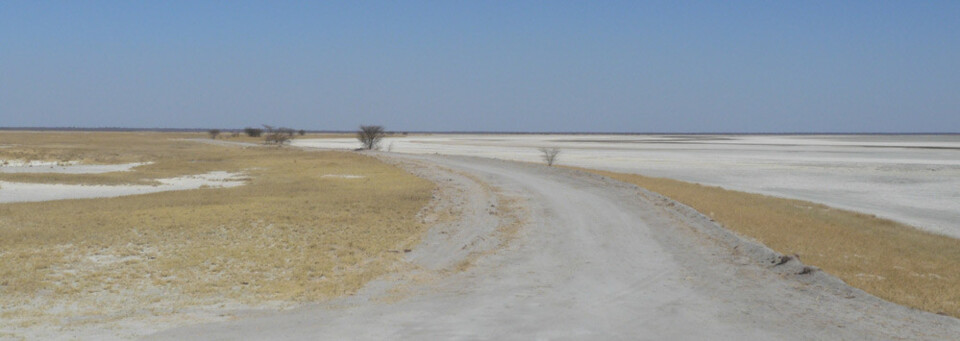 Reisebericht Botswana: Salzpfannen