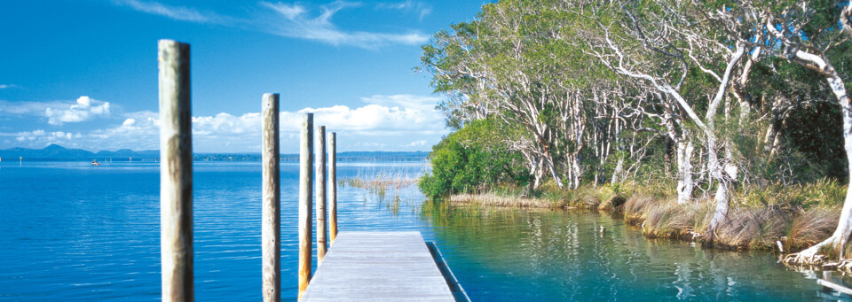 Steg an Noosa River in Noosa Everglades, Noosaville