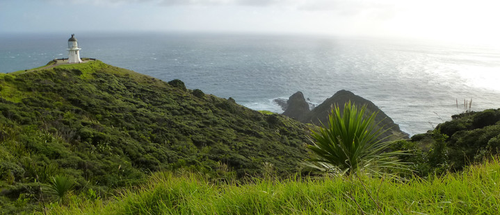 Neuseeland Reisebericht - Leuchtturm am Cape Reinga