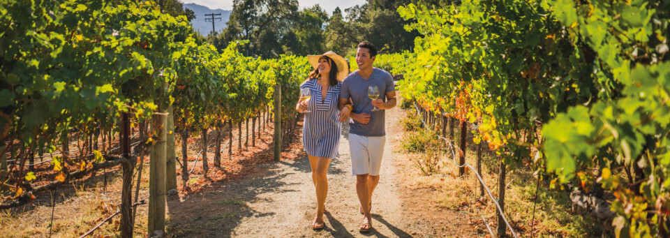 Weinregion Napa Valley
