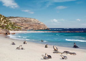 Seal Bay Conservation Park, Kangaroo Island