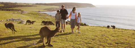 Kangaroo Island & Great Ocean Road