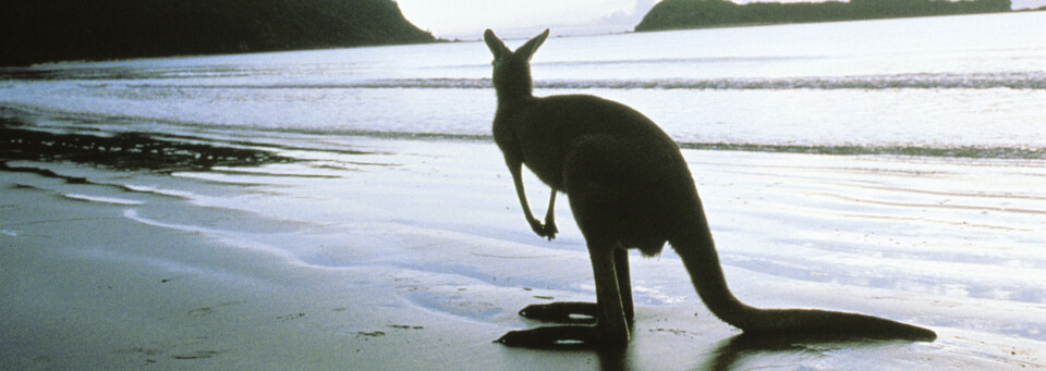 Kangaroo Island South Australia