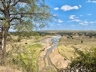 Tarangire Fluss