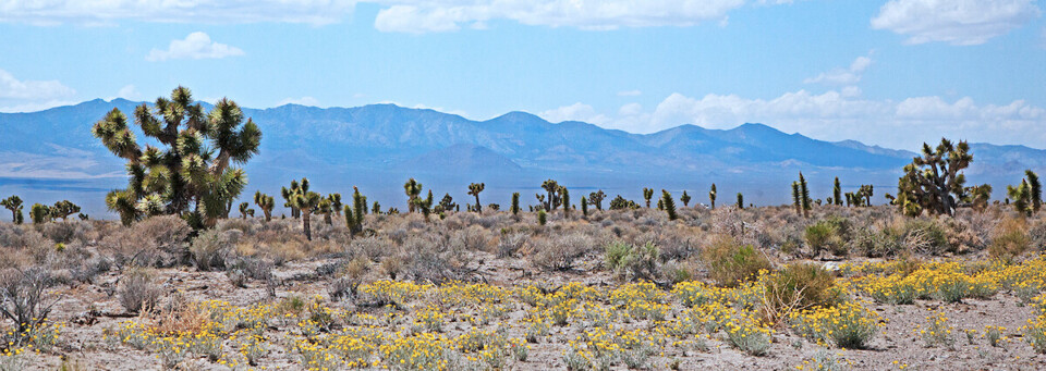 Landschaft entlang des Extraterrestrial Highway Nevada
