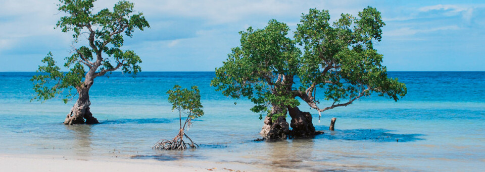 Insel Siquijor