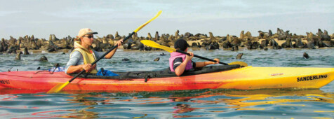 Per Kajak durch die Walvis Bay