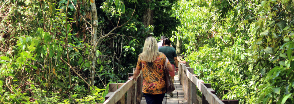  Manaus Amazon Ecopark Lodge Ausflug