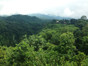 Lombok Reisebericht - Dschungellandschaft auf Lombok