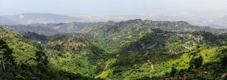 Blue Mountains, Jamaika