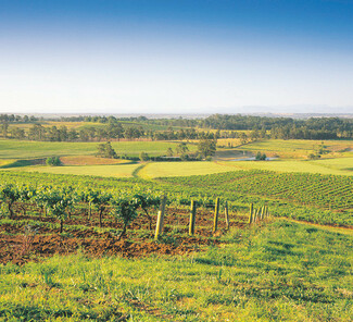 Hunter-Valley-Panorama.jpg Hunter-Valley-Panorama.jpg