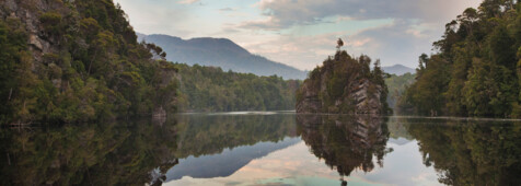 Gordon River Cruises