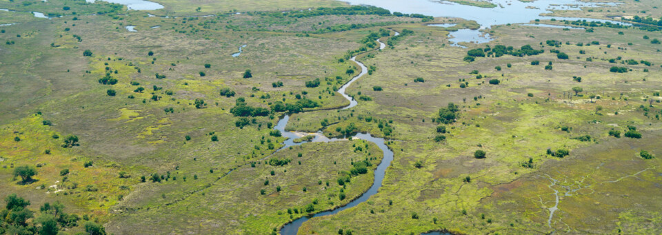 Okavango Delta Botswana