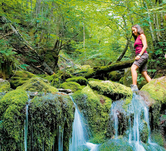 Fundy Nationalpark, New Brunswick Fundy Nationalpark, New Brunswick
