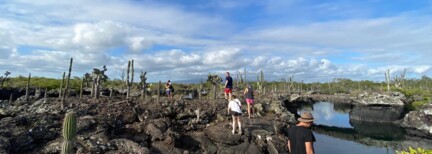 Galápagos Insel-Hopping & Quito (G)