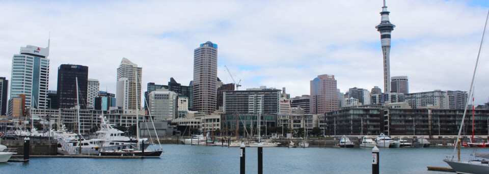 Auckland Skyline