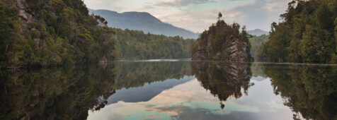 Wild Tasmania