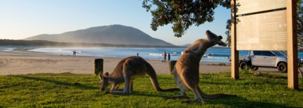 Australiens Süden entdecken