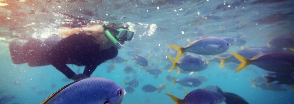 Das Beste von Australien