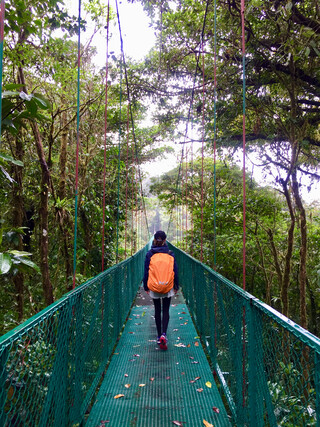 Costa Rica Reisebericht - Monteverde Hanging Bridges