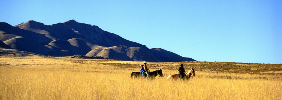 Cowboys Antelope Island