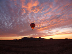Heißluftballon in der Sonora Wüste