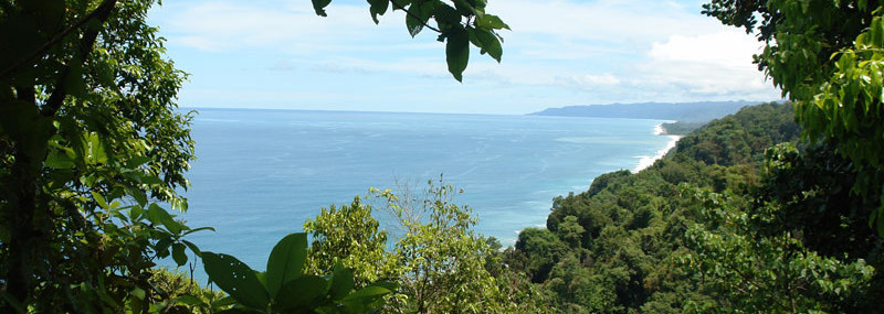 Blick von Lodge auf den Pazifik