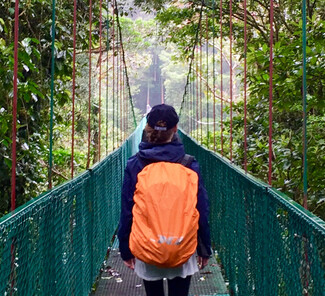 Brücke im Monteverde Nationalpark Brücke im Monteverde Nationalpark