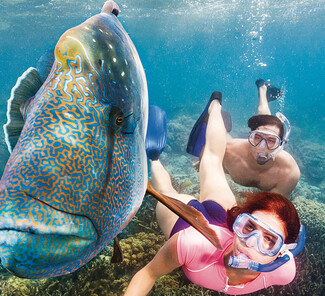 © Tourism Queensland © Tourism Queensland